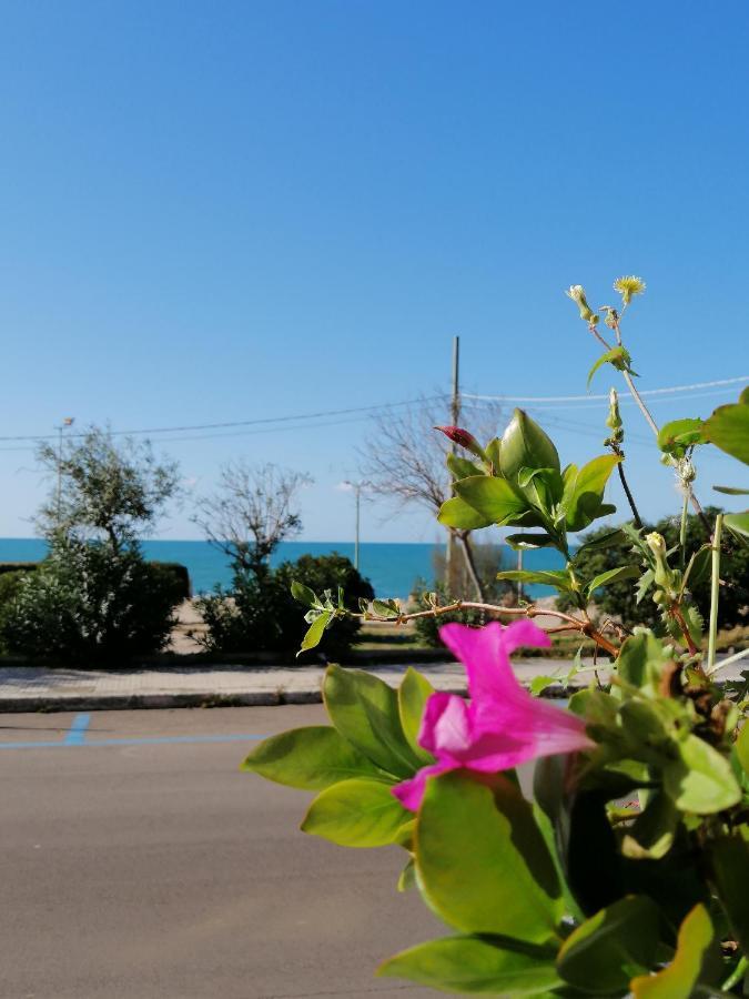 سانتا ماريا أل بانيو B&B Mareen المظهر الخارجي الصورة