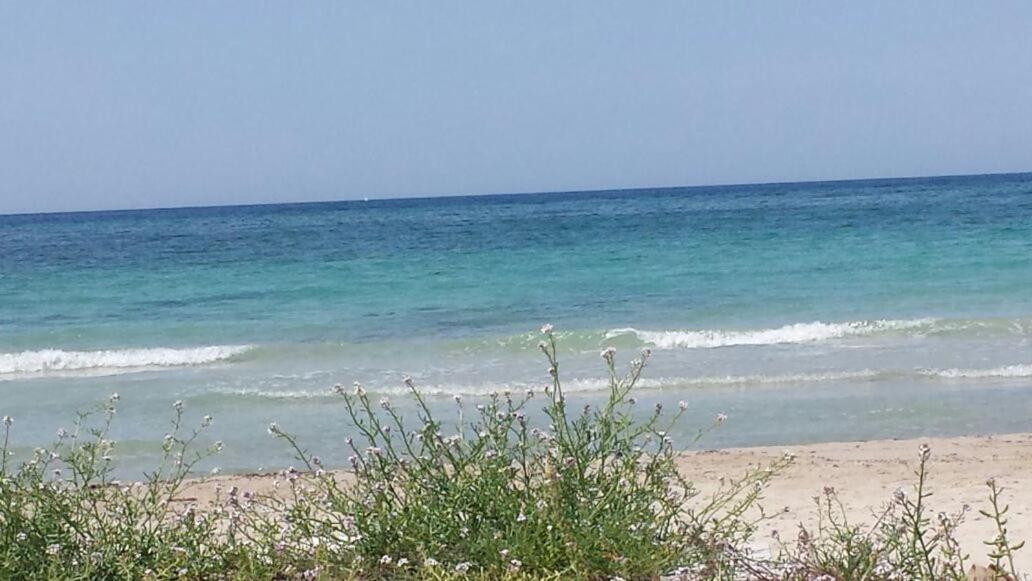 سانتا ماريا أل بانيو B&B Mareen المظهر الخارجي الصورة